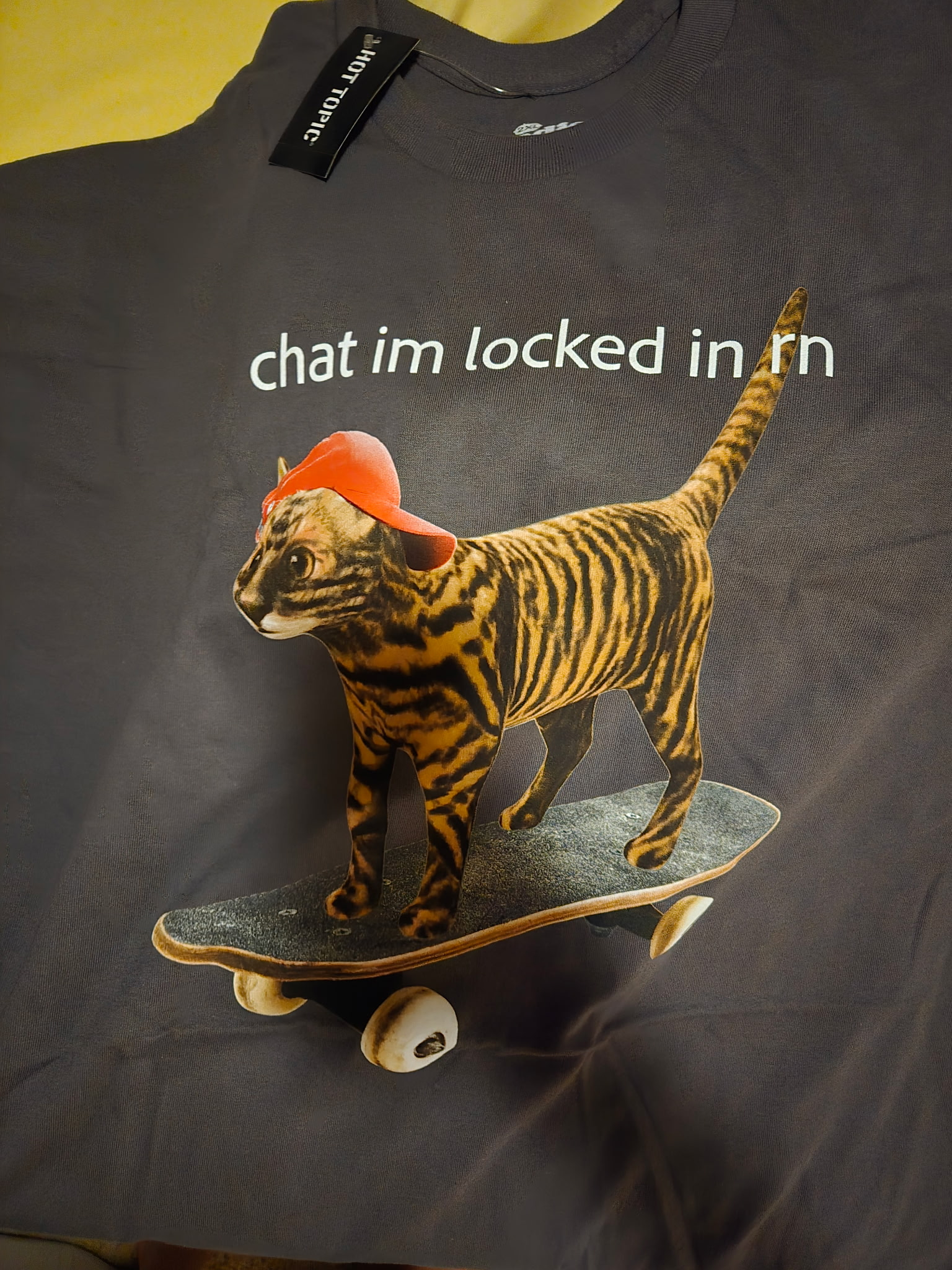 Vol. 73 - Chat I am Locked in rn
