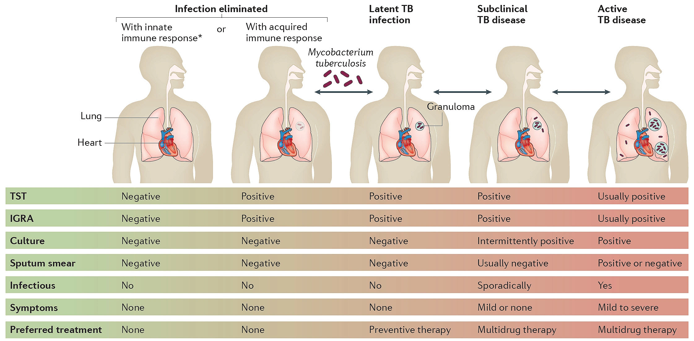 TB tests.png