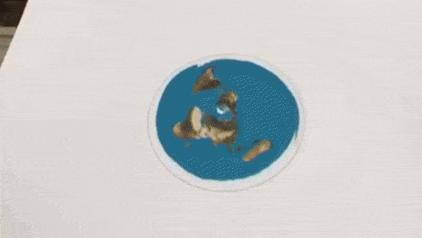 Attachments/ezgif.com-gif-maker - 2022-10-10T203104.119 1.gif