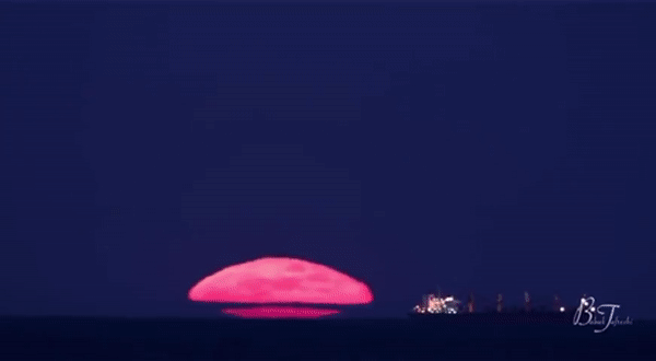 Attachments/ezgif.com-gif-maker - 2022-10-12T022813.736.gif